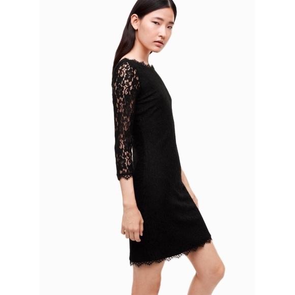 Aritzia Babaton Rafael Black Lace Dress - Picture 2 of 4